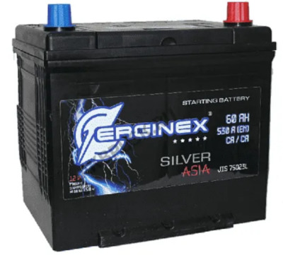 Аккумулятор ERGINEX 6CT-60.0 60Ач (обратная полярность) 12В 510А 242*175*190