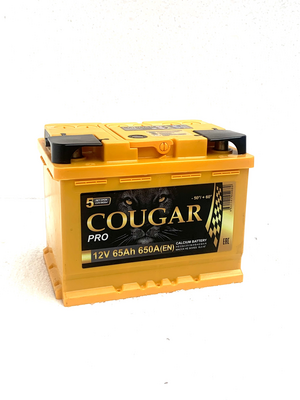 Аккумулятор COUGAR PRO 12V 65Aч 650А (- +) о.п. 242*175*190