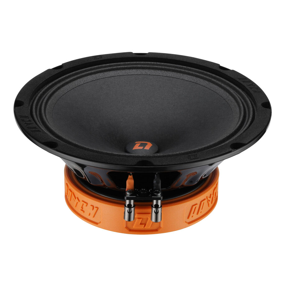 Акустика DL AUDIO Raven 200