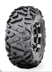 Покрышка ATV 10" 22х10-10 WANDA TL 4PR рисунок P350