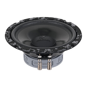 Акустика DL AUDIO Anaconda 165 Comp
