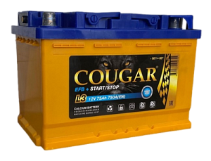 Аккумулятор COUGAR PRO 12V 75Aч 750А (+ -) п.п. 276*175*190