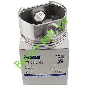 Поршень Robin Subaru EX27, STD, Ø75x43 mm голый