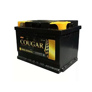 Аккумулятор COUGAR PRO 12V 62Aч 620А (+ -) п.п. 242*175*190