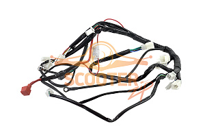 Проводка TTR125