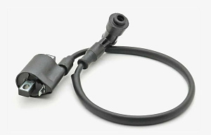 Катушка зажигания 172FMМ (CB250)  со свечным колпачком