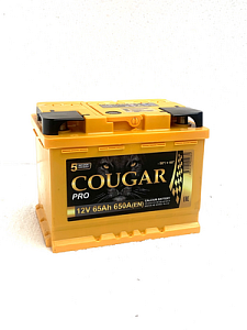 Аккумулятор COUGAR PRO 12V 65Aч 650А (- +) о.п. 242*175*190