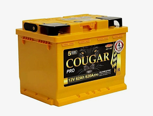 Аккумулятор COUGAR PRO 12V 65Aч 650А (+ -) п.п. 242*175*190