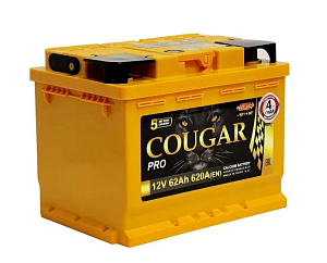 Аккумулятор COUGAR PRO 62Aч 620А (- +) о.п. 242*175*190